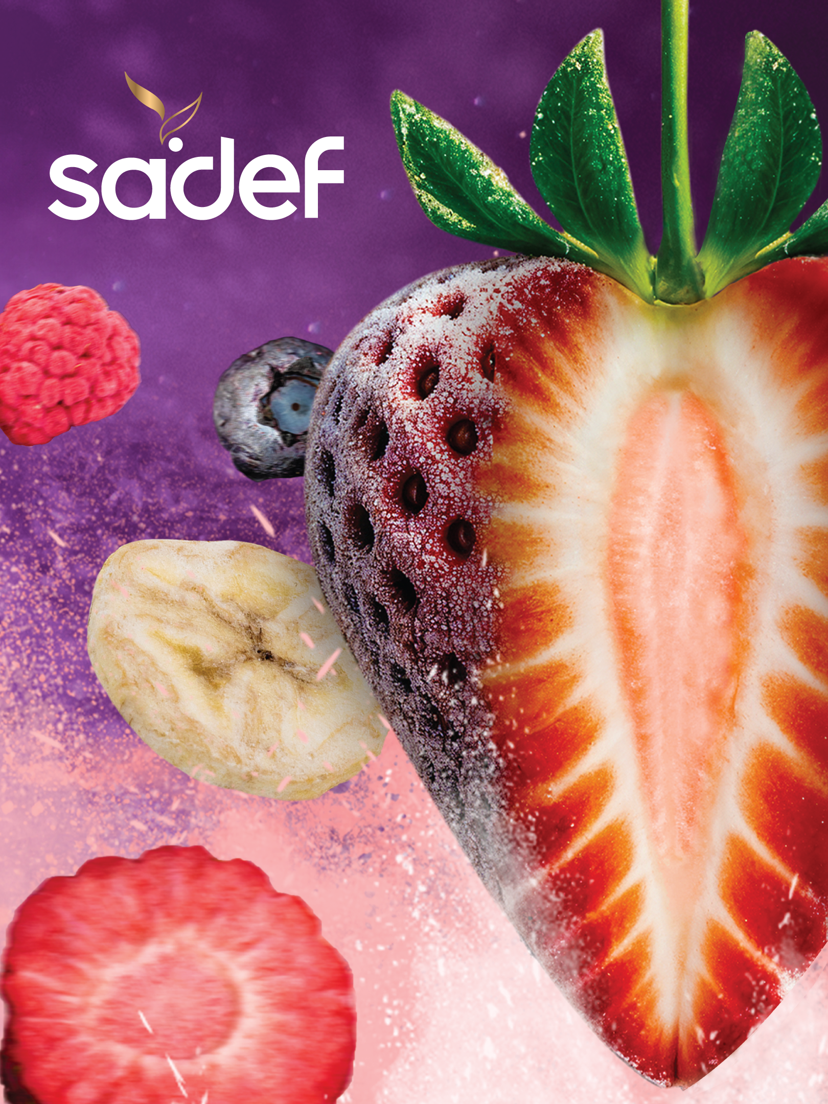 Sadef Gıda Corporate Catalog